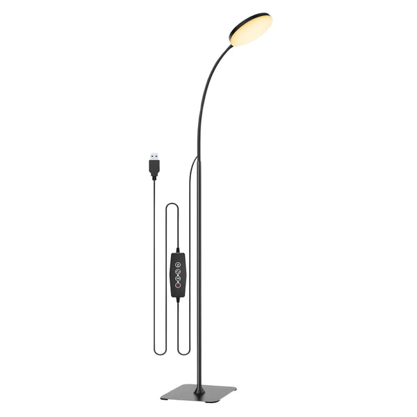 black floor lamp